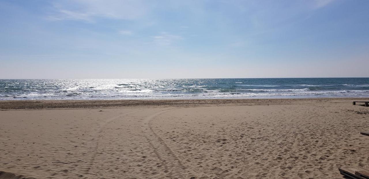 Studio Naturiste "Sunshine" Heliopolis Fg 14 Apartman Agde Kültér fotó